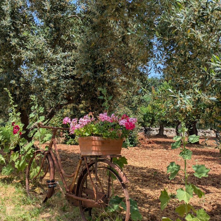 Trulli Papavero - Two-Bedroom House - 39