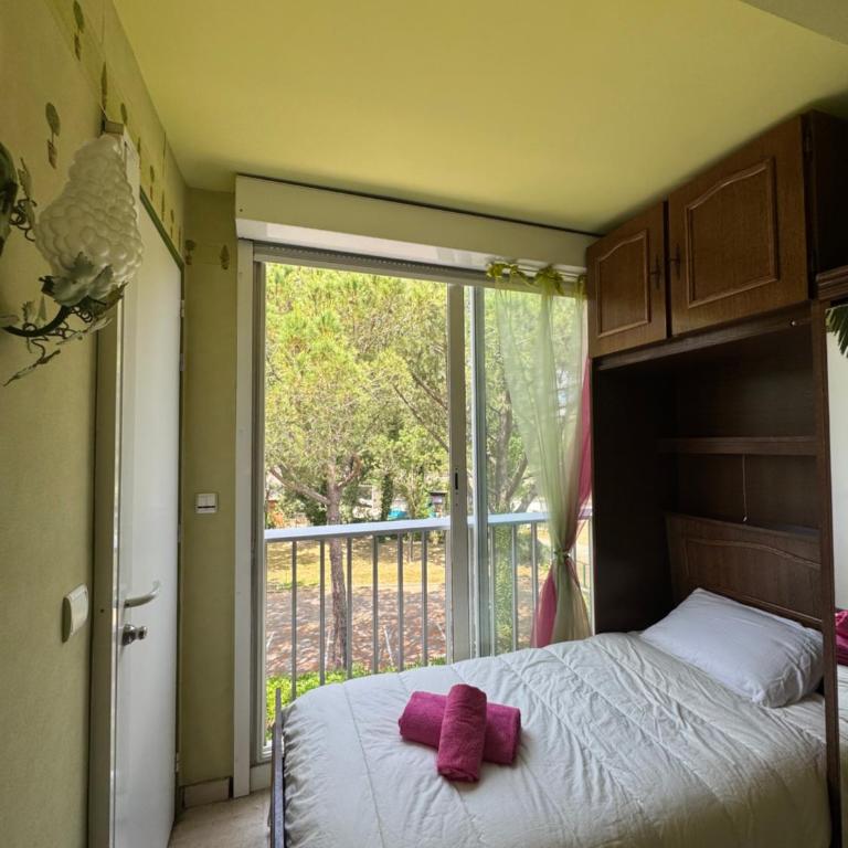 14473 Studio à Mandelieu avec une vue mer - Appartement 1 Chambre - 1