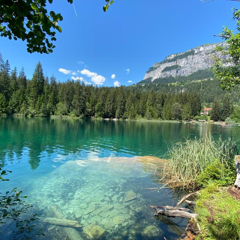 Crap da Flem - 3.5 Zimmer Ferienwohnung am Sonnenhang von Flims - Apartment mit Blick auf die Berge - 33