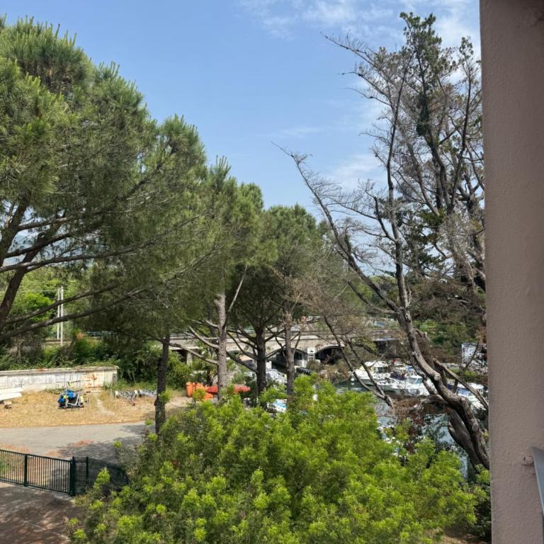 14473 Studio à Mandelieu avec une vue mer - Appartement 1 Chambre - 7