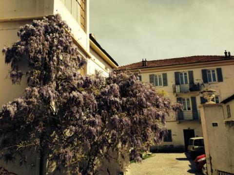 La Finestra Sul Cortile - Appartamento - 13
