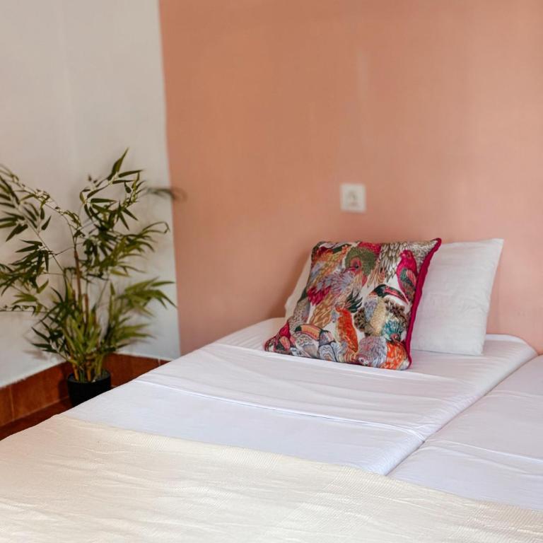 Rio Hostel - Habitación Doble - 2 camas - 3