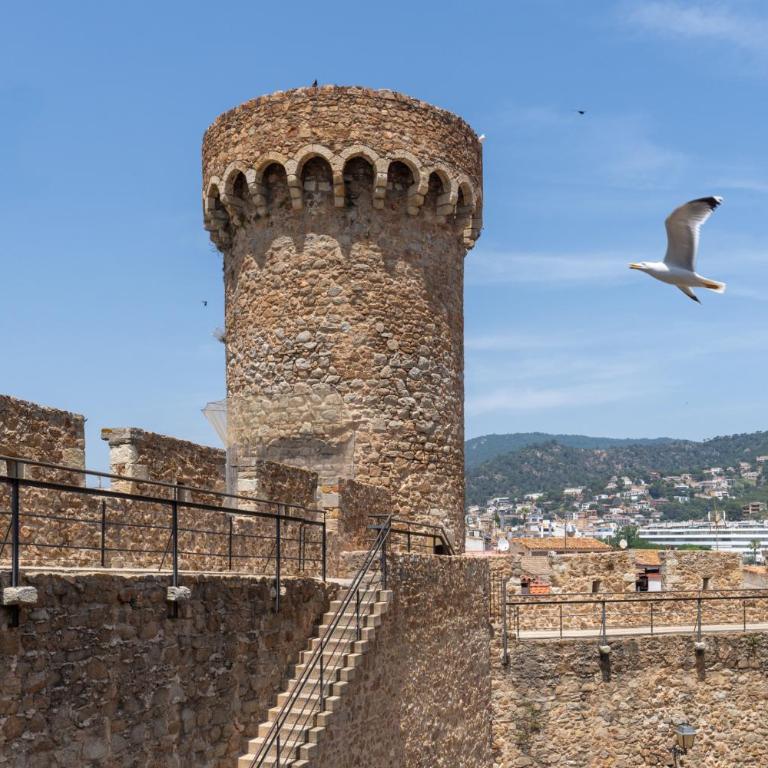 LETS HOLIDAYS Stay in a 14th-Century House with Pool in Tossa - Casa - 56