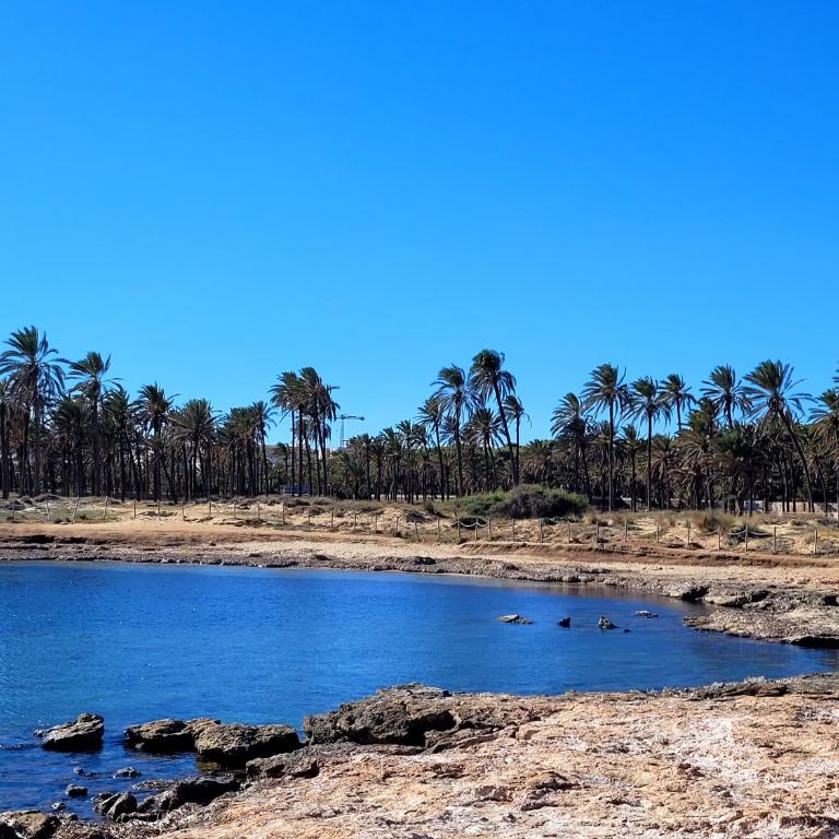 Aguamarina apartment - Relax by the sea - One-Bedroom Apartment - 39
