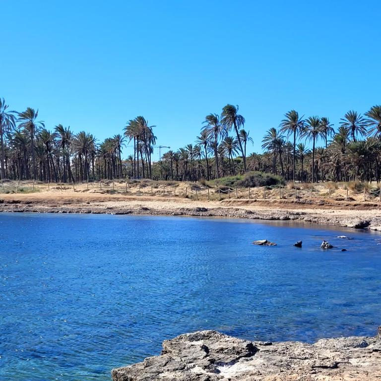 Aguamarina apartment - Relax by the sea - One-Bedroom Apartment - 40