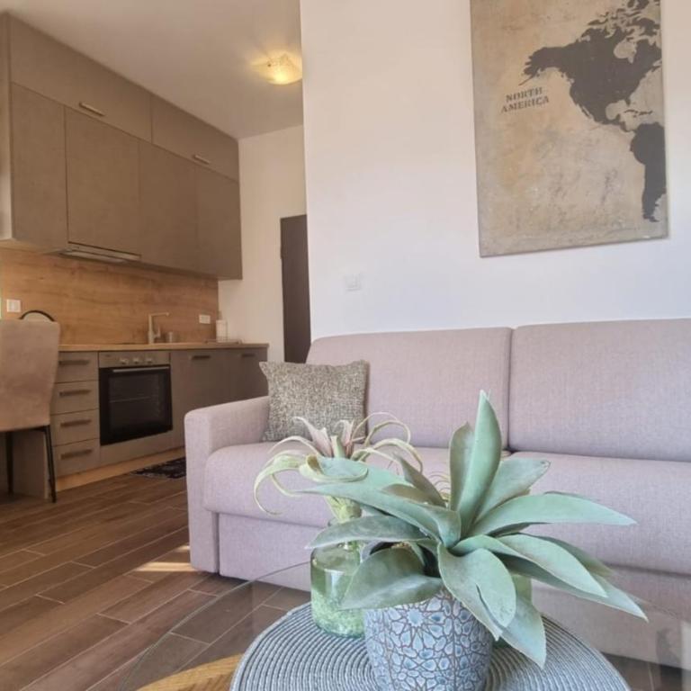 Boljevic Apartments - Apartment - 9