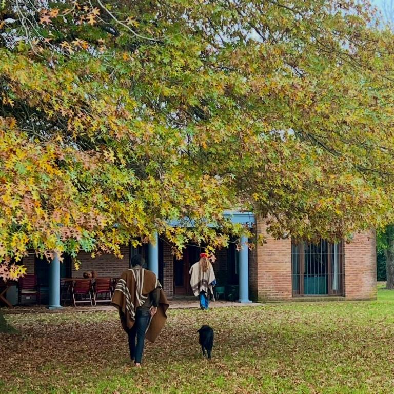 Casa en reserva natural en Lobos, 2 noches mínimo de estadía - Casa de 4 dormitorios - 58