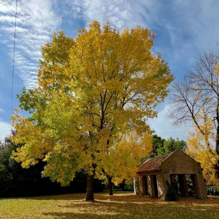 Casa en reserva natural en Lobos, 2 noches mínimo de estadía - Casa de 4 dormitorios - 8