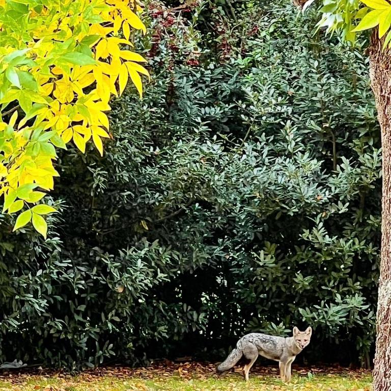Casa en reserva natural en Lobos, 2 noches mínimo de estadía - Casa de 4 dormitorios - 60