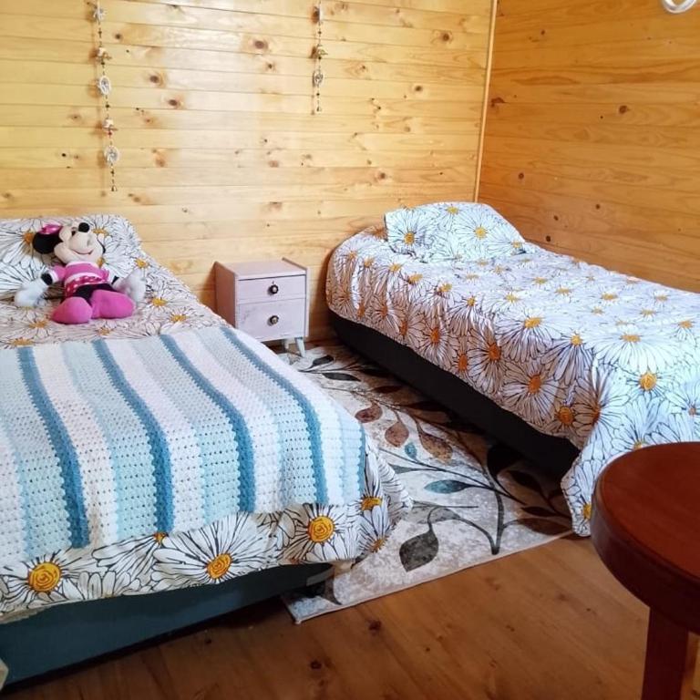 Cabañas Alturas Chillan Katalina - Apartamento de 1 dormitorio - 5