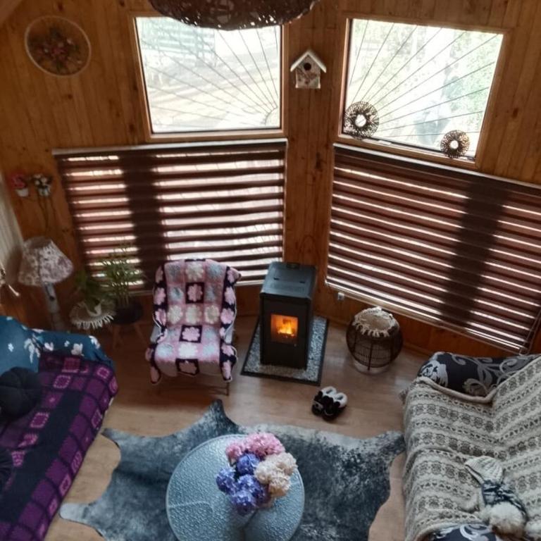 Cabañas Alturas Chillan Katalina - Apartamento de 1 dormitorio - 6