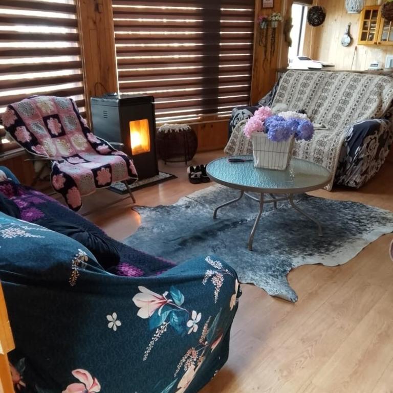 Cabañas Alturas Chillan Katalina - Apartamento de 1 dormitorio - 9