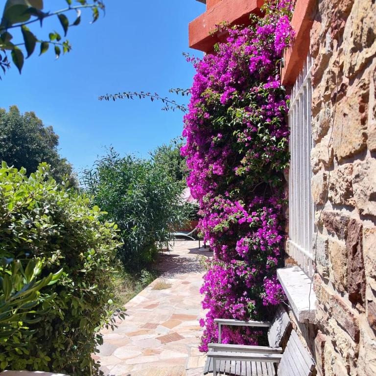 Santa Margarita - Double Room with Sea View - 8