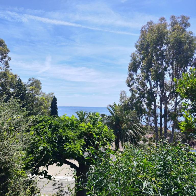 Santa Margarita - Double Room with Sea View - 10