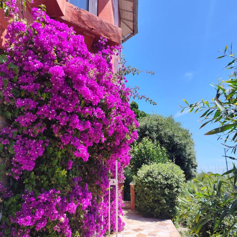 Santa Margarita - Two-Bedroom Apartment with Terrace and Sea View - 10