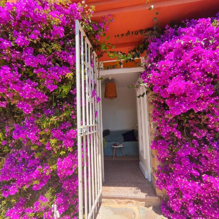 Santa Margarita - Two-Bedroom Apartment with Terrace and Sea View - 8