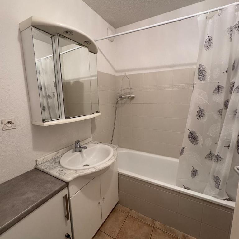 T2 Vars les Claux 7 personnes - Appartement 1 Chambre - 11