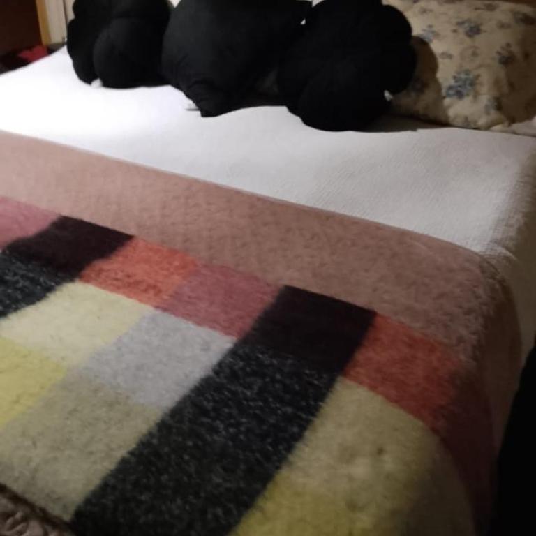 Cabañas Alturas Chillan Benjamin - Apartamento de 1 dormitorio - 7