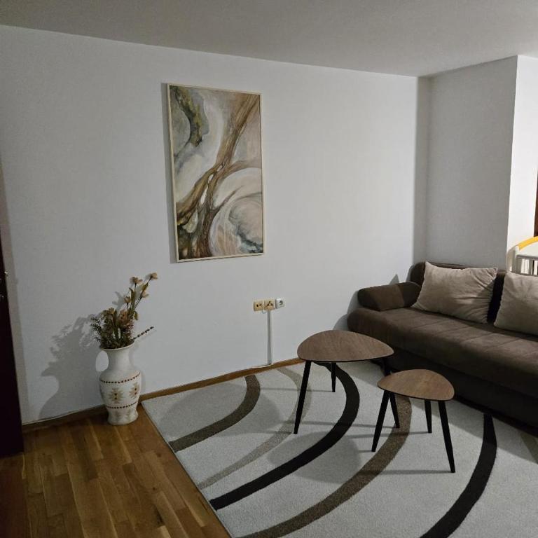 Apartments Petkovic Budva - Deluks Studio sa Bračnim Krevetom (King-size) - 17