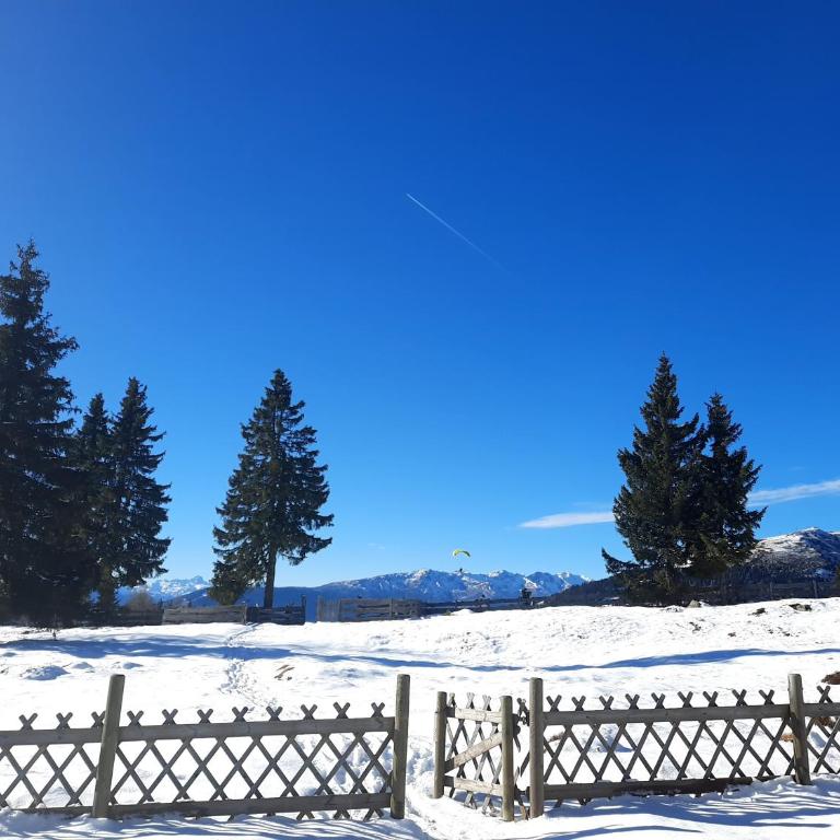Steiner`s Ferienwohnung - Apartment mit 2 Schlafzimmern - 11