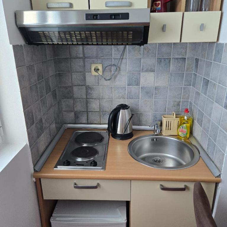 Apartments Petkovic Budva - Studio sa Terasom - 19