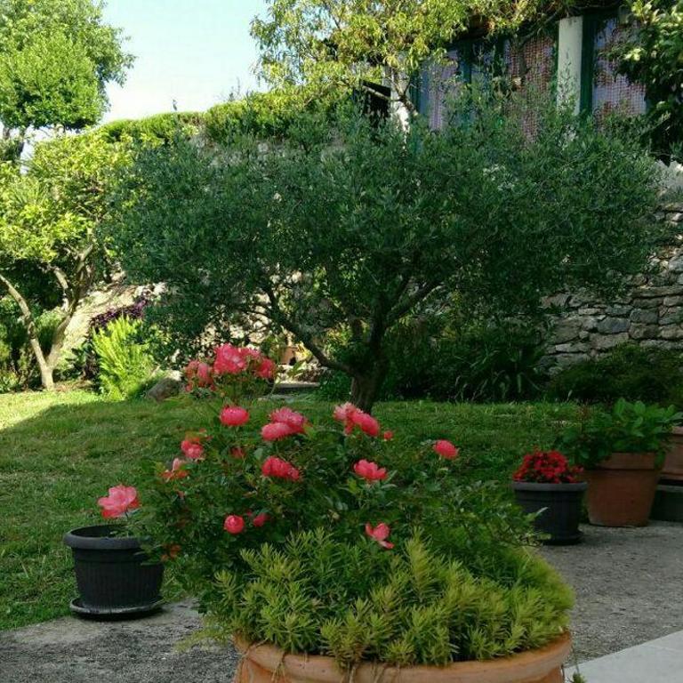 Studios Adriatic - One-Bedroom Apartment with Garden View - 7