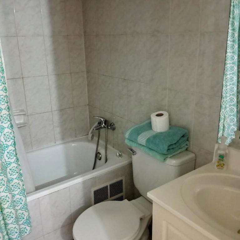Isidro - One-Bedroom Apartment - 1