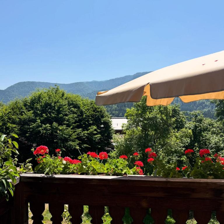 Gästehaus Hausenbauer - Apartment mit Blick auf die Berge - 7