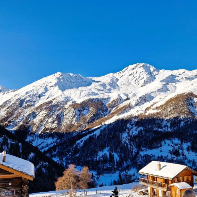 Pra Charris - La Forclaz - Appartement - Apartment mit Blick auf die Berge - 15