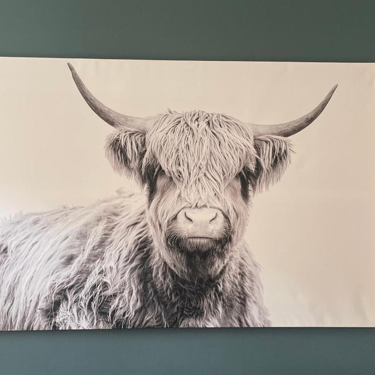 Einzigartiges Loft im Herzen von Graz - Appartamento Bilocale - 5