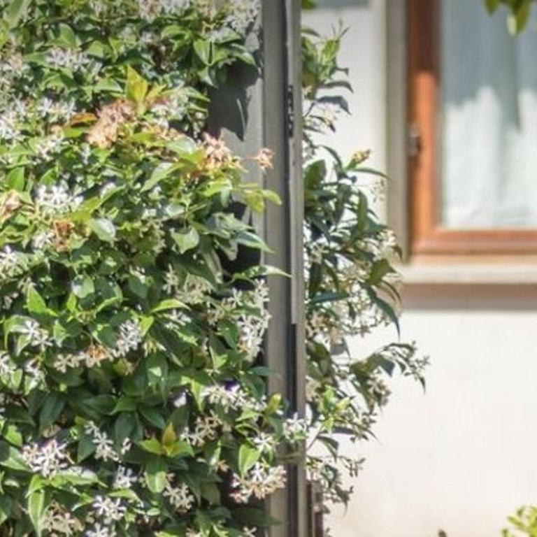 Casa del Lago - Appartamento con 1 Camera da Letto - 2