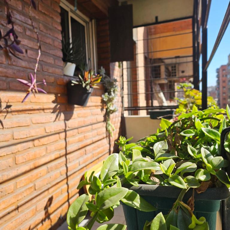 Cozy Vibes Apartment Tucumán - One-Bedroom Apartment with Balcony - 20