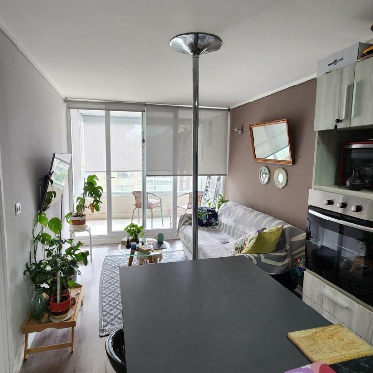 Cozy and nice apartment - One-Bedroom Apartment - 1