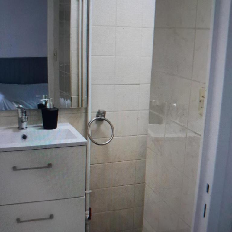 Studio Nantes centre, meublé et équipé - Apartment mit 1 Schlafzimmer - 3