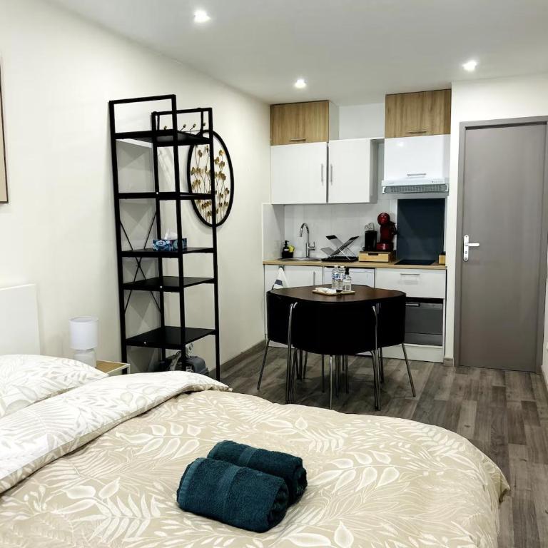 Disney Val D'europe - Appartement climatisé - Appartement 1 Chambre - 7