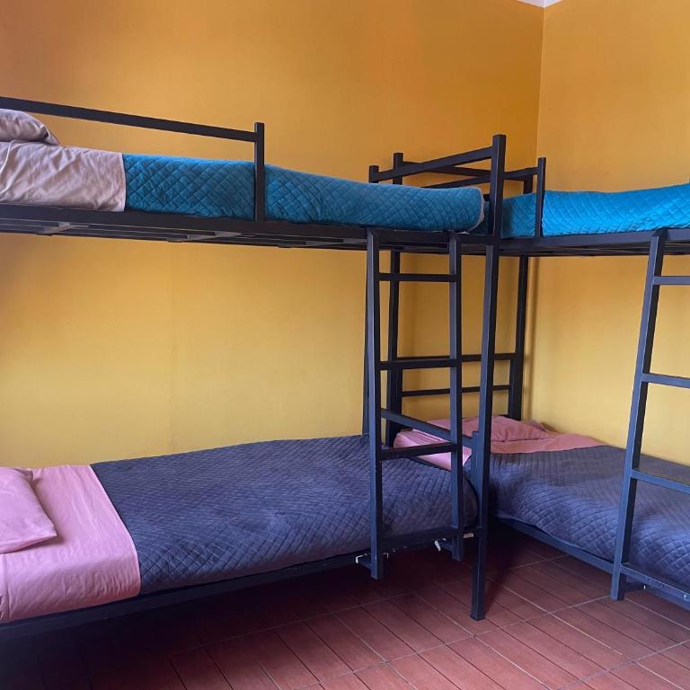 Tierra Santa - Habitación Compartida Femenina - 2