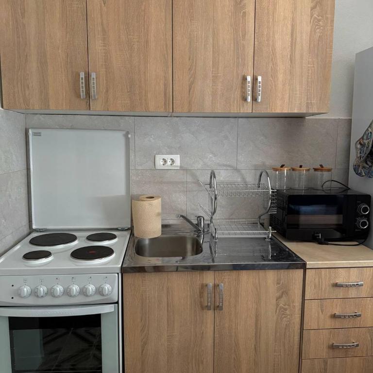 Tatjana apartman blue - Apartman sa 2 Spavaće Sobe - 15