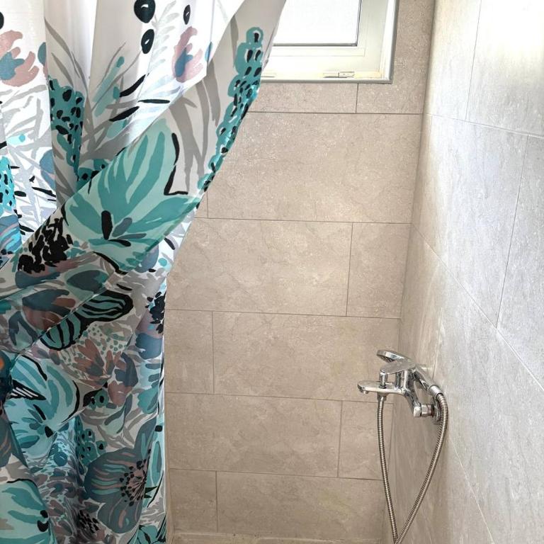 Tatjana apartman blue - Apartman sa 2 Spavaće Sobe - 16