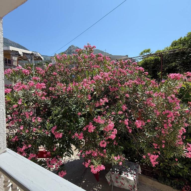 Tatjana apartman blue - Apartman sa 2 Spavaće Sobe - 20