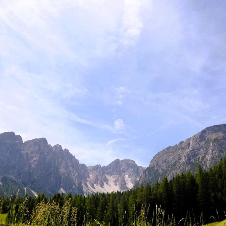 Apartment - Alpin Chalet Frenademetz - Appartamento - 29