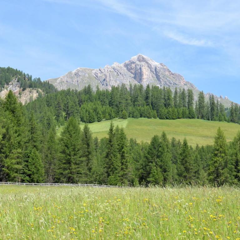 Apartment - Alpin Chalet Frenademetz - Appartamento - 21