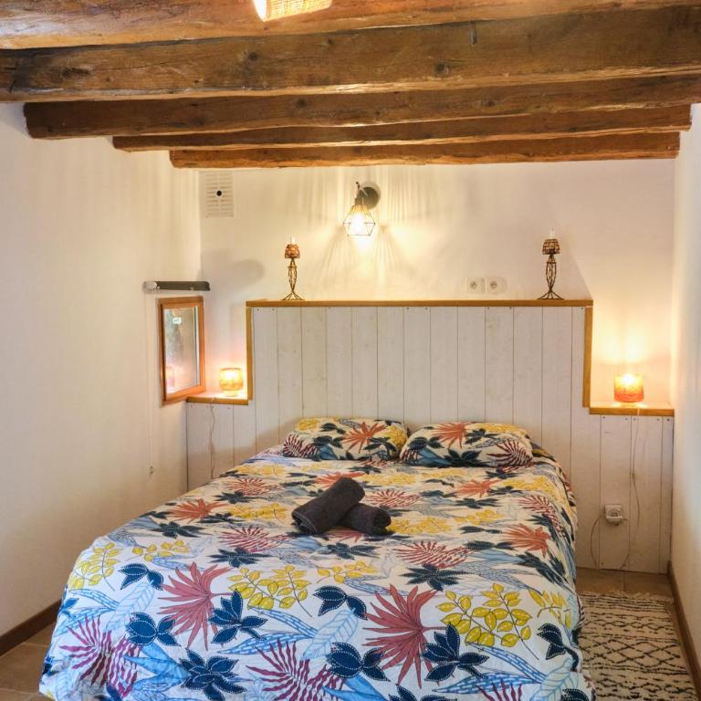 Deux appartements - Gîte aux 1000 chemins - Appartement - 12