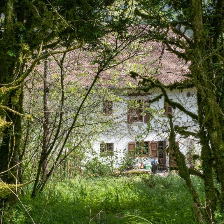 Deux appartements - Gîte aux 1000 chemins - Appartement - 37