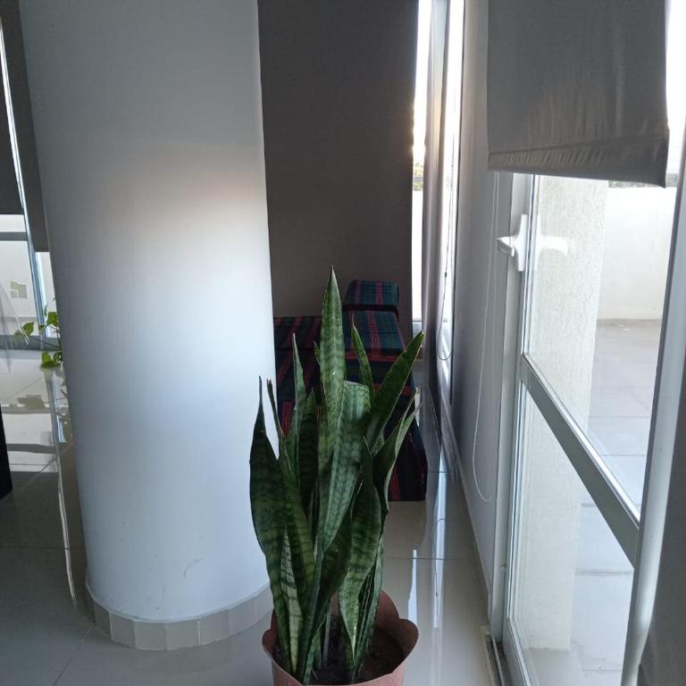 Edificio Leonardo departamento 16 - Apartamento de 2 dormitorios - 12