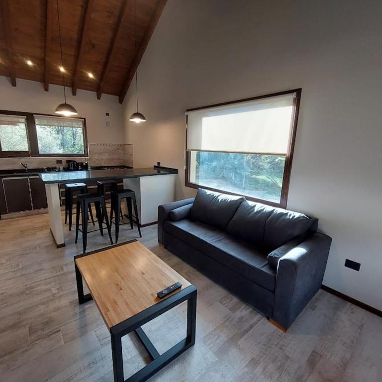 Alojamiento el Maiten, excelente ubicacion - Two-Bedroom Apartment - 14
