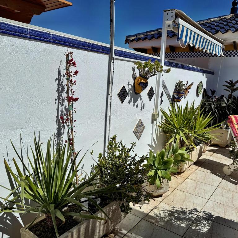 Brisa del Mar - Residencial Veramar - Apartamento de 2 dormitorios - 18