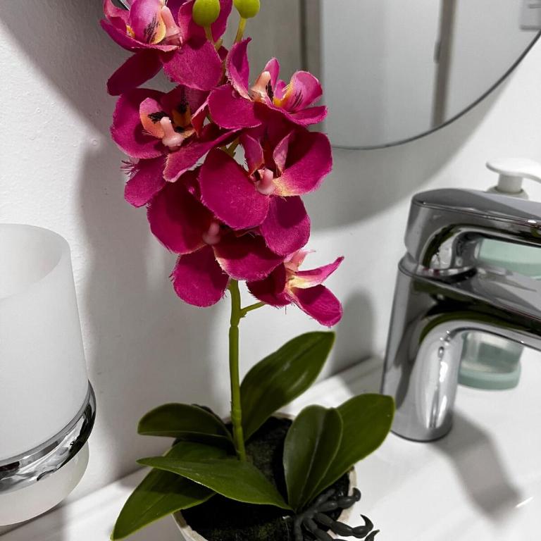 Apt luxury wifi AC pool at Cartagena - One-Bedroom Apartment - 6