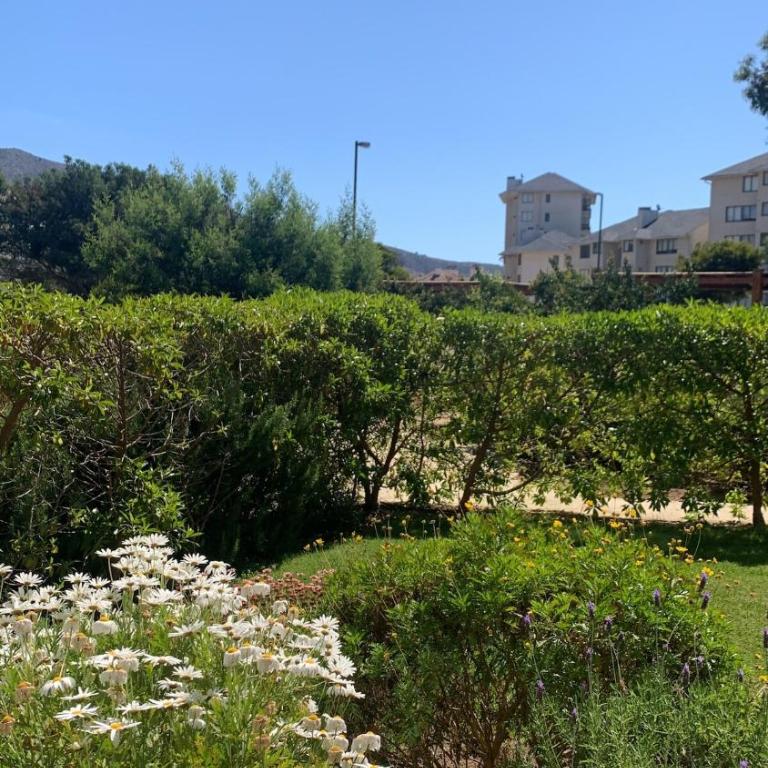 Departamento, condominio Brisas de Puyai - Three-Bedroom Apartment - 9