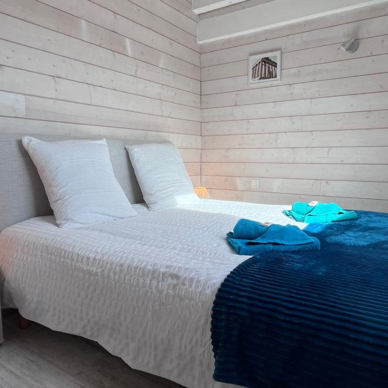 Les combles des Montils - Amboise - 4 personnes - Appartamento con 2 Camere da Letto - 8