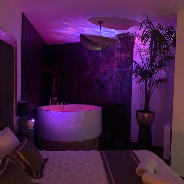 L Emeraude des marais loveroom Bourges - Appartement 1 Chambre - 5